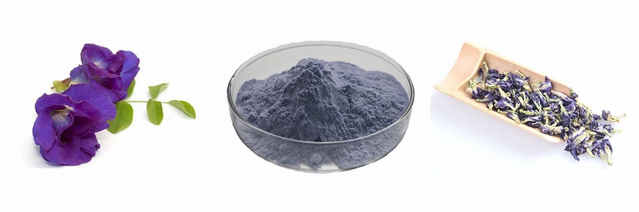 Butterfly Pea Extract Powder