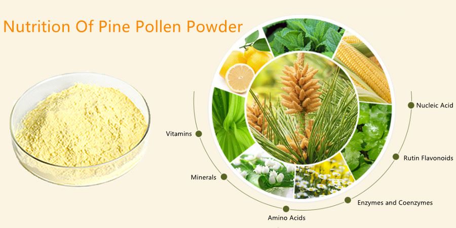 Nutrition Of Pine Pollen Powder