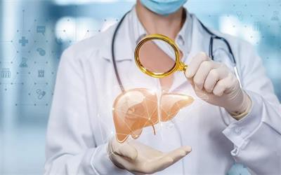 Protect the liver Protect the liver