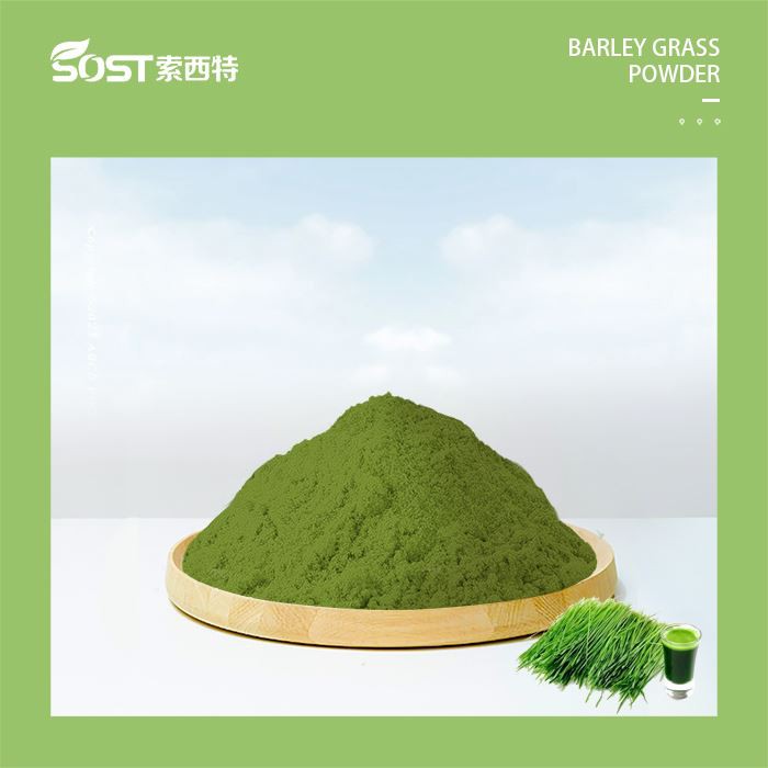 Serbuk Ekstrak Rumput Barli