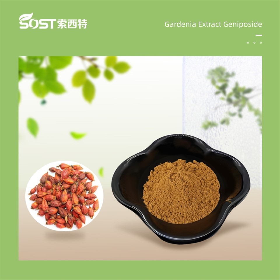 Gardenia Extract 10% Geniposide