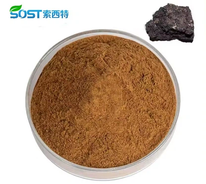 shilajit 2 shilajit 2