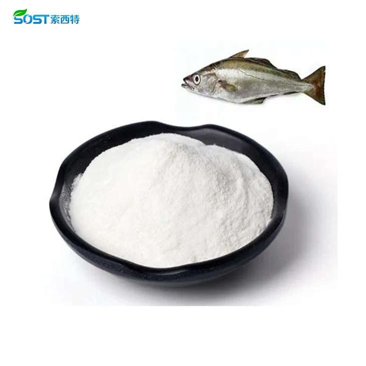 collagen peptide powder3