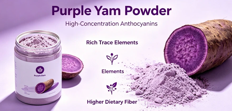 Best Ube Powder for Baking Best Ube Powder for Baking