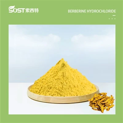Serbuk Berberine HCL