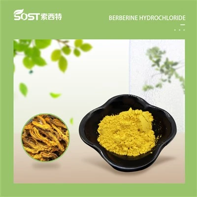 Serbuk Berberine Hydrochloride