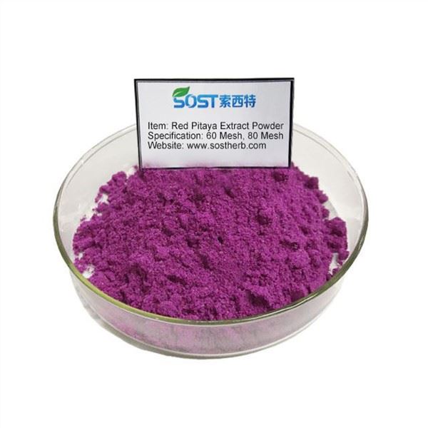 Serbuk Ekstrak Pitaya Merah