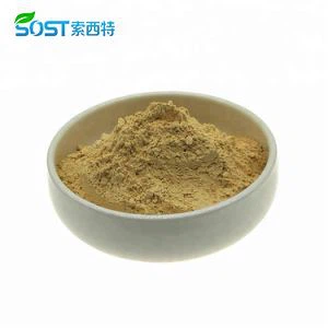 Oyster Extract Powder