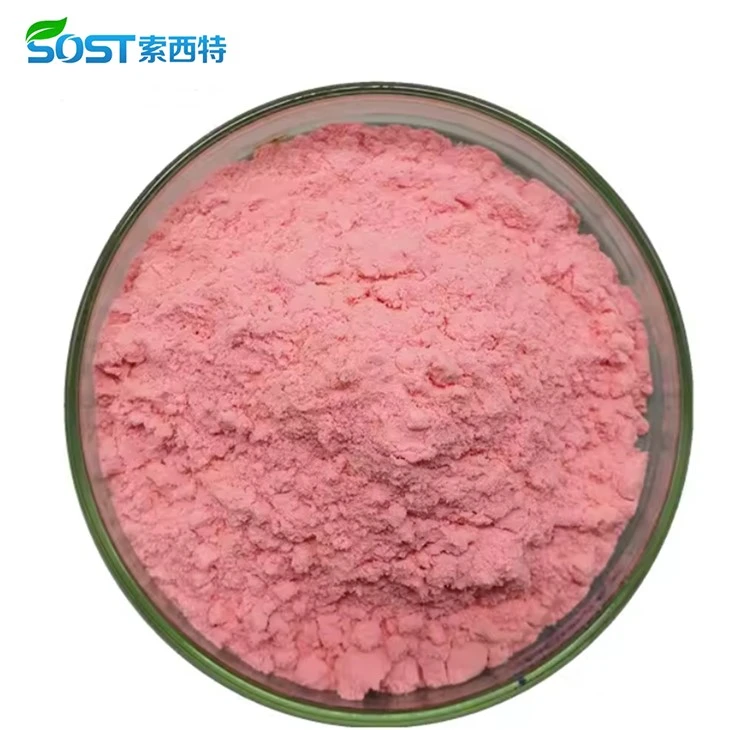 Freeze Dried Watermelon Powder