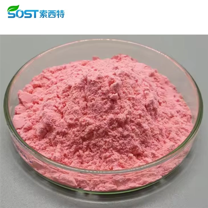 Freeze Dried Watermelon Powder