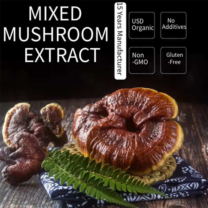 Ganoderma Lucidum Red Reishi Mushroom Extract