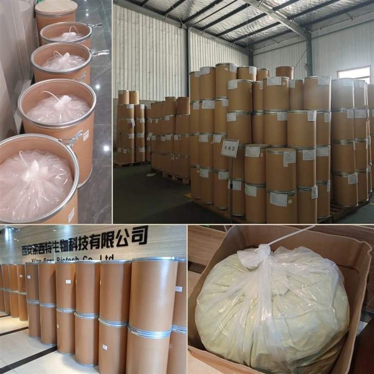Avocado Extract Powder factory