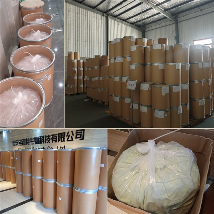 White Kidney Bean Extract factory